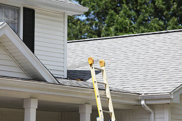 Best Shed Removal  in Willow Grove, PA